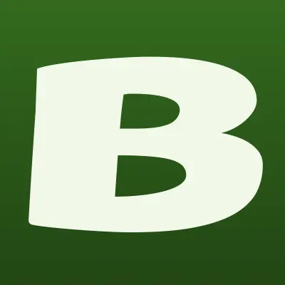 BLG_Brand, мультибрендовый магазин одежды и обуви, лого-визитка